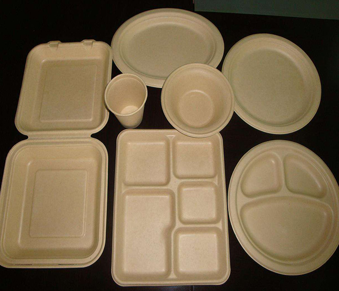 環保紙漿模塑歷來發展與應用有哪些？